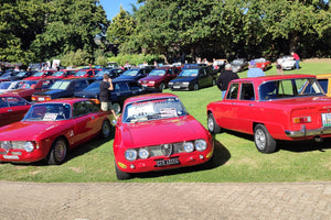 110 Years of Alfa Romeo: A stunning celebration at Lourensford